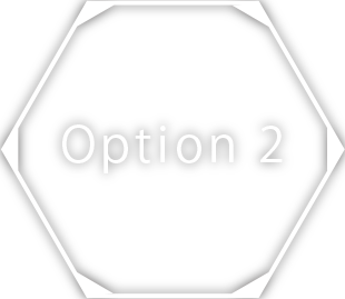 Option2